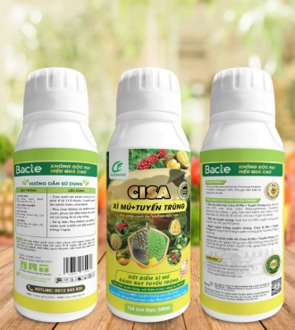 CISA XÌ MỦ + TUYẾN TRÙNG