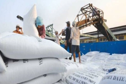 Giá gạo xuất khẩu Việt Nam tăng mạnh