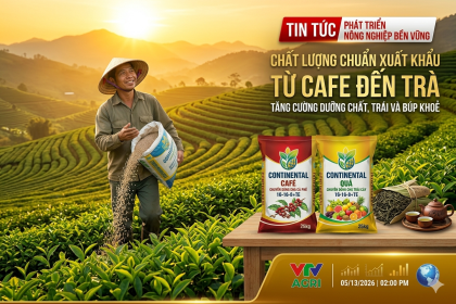 Chìa Khóa Tối Ưu Dinh Dưỡng Nhập Khẩu – Giải Pháp Hoàn Hảo Cho Nông Nghiệp Công Nghệ Cao