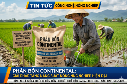 Công Ty TNHH XNK Phân Bón Continental: Đột Phá Công Nghệ Dinh Dưỡng, Giúp Cây Trồng Khỏe – Đất Tơi Xốp – Năng Suất Vượt Trội