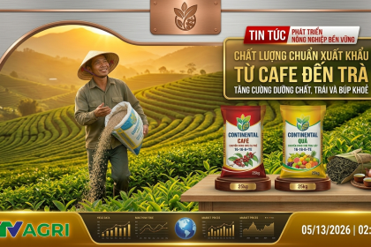 Giải Pháp Dinh Dưỡng Đột Phá, Đồng Hành Cùng Nông Dân Nâng Tầm Nông Sản Việt