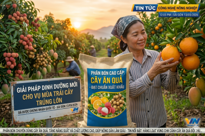 Giải Pháp Phục Hồi Cây Trồng Sau Thu Hoạch Và Tăng Cường Miễn Dịch Tự Nhiên Bền Vững