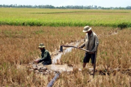 Dự báo của Viện Khoa học thủy lợi miền Nam về hạn hán và xâm nhập mặn ở ĐBSCL