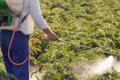 Phân bón giả tái xuất: Cách phân biệt phân bón thật - giả