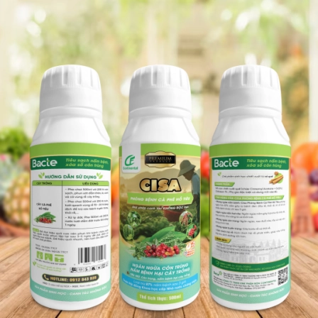 CISA PHÒNG BỆNH CÀ PHÊ HỒ TIÊU