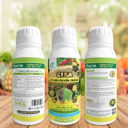 CISA XÌ MỦ + TUYẾN TRÙNG